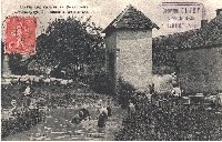 La tonte des moutons a la ferme du mareau